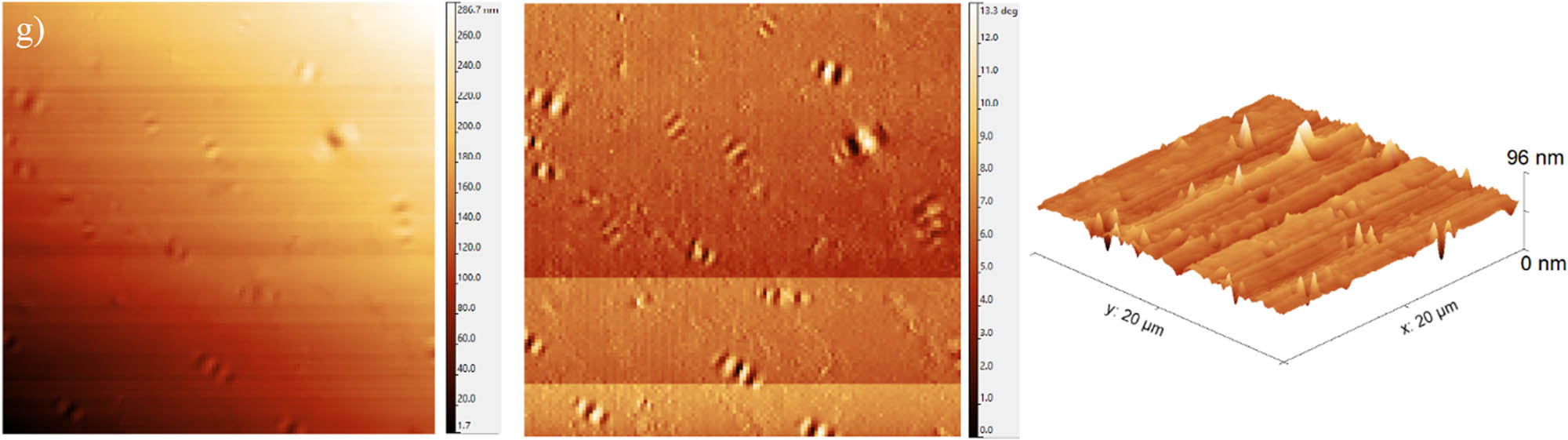 Figure 3 
                  (a) AFM 3D view of the surface morphology of asphalt binder, showing bee-like structures after aging that looks like a Toblerone chocolate bar; the bee-like structure is affected by the polarity of asphaltene molecules and is a challenging phenomenon that is directly related to long alkyl chains of asphaltenes, high aromatic components, and microcrystalline waxes. Aging affects the size of the individual bees and their number on the binder surface considerably, and with the increasing size and number, the binder surface stiffness increases. (b) AFM 2D view of components of bee-like structures. (c) Colored single bee; red zone represents saturates–aromatics, violet zone shows asphaltenes–resins, dark blue zone illustrates resins–aromatics, and light blue zone shows saturates–resins content. The scale bar is 500 nm. (d) 3D cross-section of asphalt binder and four components of asphalt binder: asphaltenes, resins, aromatics, and saturates. The scale bar is 1 µm. 2D and 3D AFM surface images of binders: (e) morphological unaged sample, (f and g) short-term and long-term aged samples, respectively; at three different modes: center row, phase image; left and right rows, 3D and 2D surface topography samples.
               