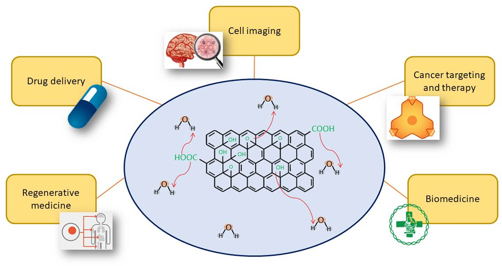 Figure 1
Utilization of graphene in different fields of biomedicine.