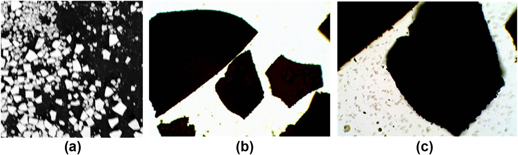 Figure 3 
                  The powder of phosphor sample D after ball milling, washing, drying the water colloid in a Petri dish in the open air and scraping from the bottom of the Petri dish. No oleic acid was added to the colloid before drying. (a) The photograph of the scales of the dry powder taken with iPhone 6 camera; dimensions: 17 mm × 17 mm. (b) The microscope photograph of the scales taken with magnification ×40; dimensions: X = 2,257 µm and Y = 1,674 µm. (c) The microscope photograph of the scales taken with magnification ×100; dimensions: X = 903 µm and Y = 670 µm.
               