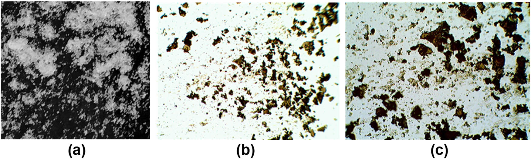 Figure 4 
                  The powder of phosphor sample D after ball milling, washing, drying the water colloid in a Petri dish in the open air and scraping from the bottom of the Petri dish. Oleic acid was added to the colloid before drying. (a) The photograph of the scales of the dry powder taken with iPhone 6 camera; dimensions are the same as in Figure 3. (b) The microscope photograph of the scales taken with magnification ×40. (c) The microscope photograph of the scales taken with magnification ×100; dimensions are the same as in Figure 3.
               