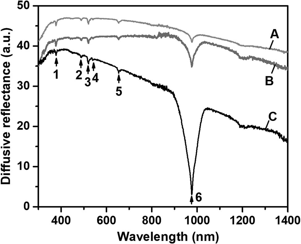 Figure 7 
                  Diffuse reflectance spectra of the powder samples of down-conversion LE phosphors. Curve A corresponds to 
                        
                           
                           
                              
                                 
                                    NaY
                                 
                                 
                                    0.94
                                 
                              
                              
                                 
                                    F
                                 
                                 
                                    4
                                 
                              
                              :
                              
                                 
                                    Yb
                                 
                                 
                                    0.03
                                 
                                 
                                    3
                                    +
                                 
                              
                              
                                 
                                    Er
                                 
                                 
                                    0.03
                                 
                                 
                                    3
                                    +
                                 
                              
                           
                           {\text{NaY}}_{0.94}{\text{F}}_{4}:{\text{Yb}}_{0.03}^{3+}{\text{Er}}_{0.03}^{3+}
                        
                     ; B – 
                        
                           
                           
                              
                                 
                                    NaY
                                 
                                 
                                    0.78
                                 
                              
                              
                                 
                                    F
                                 
                                 
                                    4
                                 
                              
                              :
                              
                                 
                                    Yb
                                 
                                 
                                    0.2
                                 
                                 
                                    3
                                    +
                                 
                              
                              
                                 
                                    Er
                                 
                                 
                                    0.02
                                 
                                 
                                    3
                                    +
                                 
                              
                           
                           {\text{NaY}}_{0.78}{\text{F}}_{4}:{\text{Yb}}_{0.2}^{3+}{\text{Er}}_{0.02}^{3+}
                        
                     ; C – 
                        
                           
                           
                              
                                 
                                    NaY
                                 
                                 
                                    0.69
                                 
                              
                              
                                 
                                    F
                                 
                                 
                                    4
                                 
                              
                              :
                              
                                 
                                    Yb
                                 
                                 
                                    0.3
                                 
                                 
                                    3
                                    +
                                 
                              
                              
                                 
                                    Er
                                 
                                 
                                    0.01
                                 
                                 
                                    3
                                    +
                                 
                              
                           
                           {\text{NaY}}_{0.69}{\text{F}}_{4}:{\text{Yb}}_{0.3}^{3+}{\text{Er}}_{0.01}^{3+}
                        
                     . Absorption peak 1 corresponds to the transition in ion of Er3+:4I15/2 → 4G11/2 (380 nm); 2 – Er3+:4I15/2 → 4F7/2 (480 nm); 3 – Er3+:4I15/2 → 2H11/2 (520 nm); 4 – Er3+:4I15/2 → 4S3/2 (540 nm); 5 – Er3+:4I15/2 → 4F9/2 (650 nm); 6 – Er3+:4I15/2 → 4I11/2 and Yb3+:2F7/2 → 2F5/2 (∼980–1000 nm). All the spectra are normalized to peak 3: its depth is (−1) in arbitrary units.
               