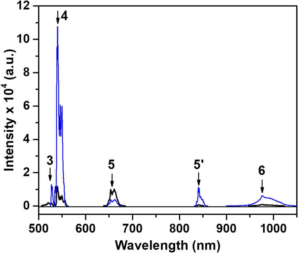 Figure 8 
                  Visible and NIR photoluminescence spectrum of the phosphor powder 
                        
                           
                           
                              
                                 
                                    NaY
                                 
                                 
                                    0.83
                                 
                              
                              
                                 
                                    F
                                 
                                 
                                    4
                                 
                              
                              :
                              
                                 
                                    Yb
                                 
                                 
                                    0.14
                                 
                                 
                                    3
                                    +
                                 
                              
                              
                                 
                                    Er
                                 
                                 
                                    0.03
                                 
                                 
                                    3
                                    +
                                 
                              
                           
                           {\text{NaY}}_{0.83}{\text{F}}_{4}:{\text{Yb}}_{0.14}^{3+}{\text{Er}}_{0.03}^{3+}
                        
                      excited by 372 nm UV laser (black curve) and by 488 nm line of an Ar-ion laser (blue). The peaks correspond to the absorption bands with the same numbers as in Figure 7. The new peak 5′ corresponds to the band at 850 nm. This band does not exhibit prominent absorption in Figure 7.
               