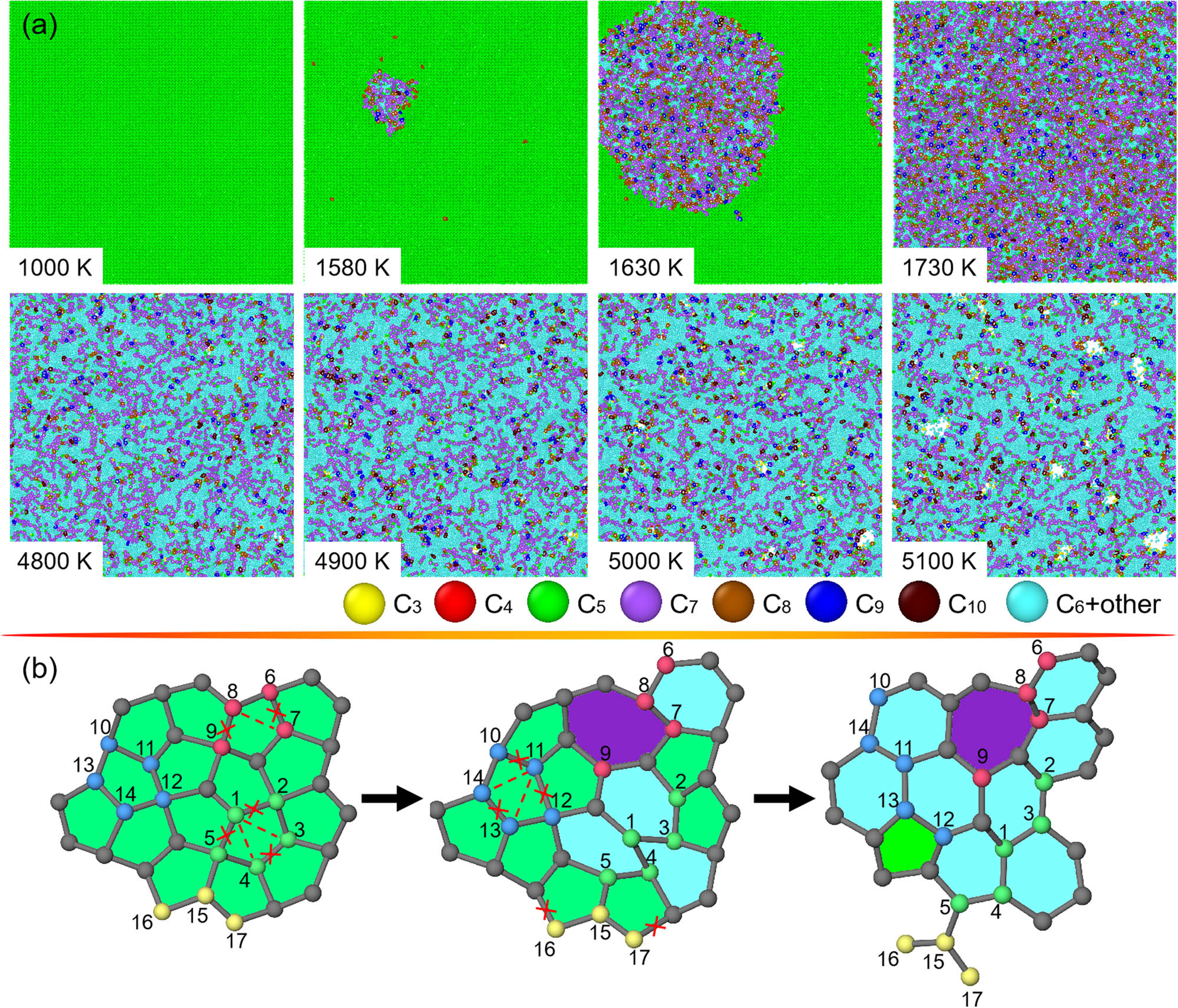 Figure 6
Structural changes in penta-graphene subjected to heating. (a) Top views of penta-graphene at T varying from 1,000 to 5,100 K. For clarification of microstructural changes, carbon atoms in recognized polygonal rings from trigon to decagon are differently rendered. (b) Atomic illustration of nucleation of hexagon and heptagon from pentagon in the local region of penta-graphene, in which carbon atoms are number-ranked for identifying the microstructural transitions.