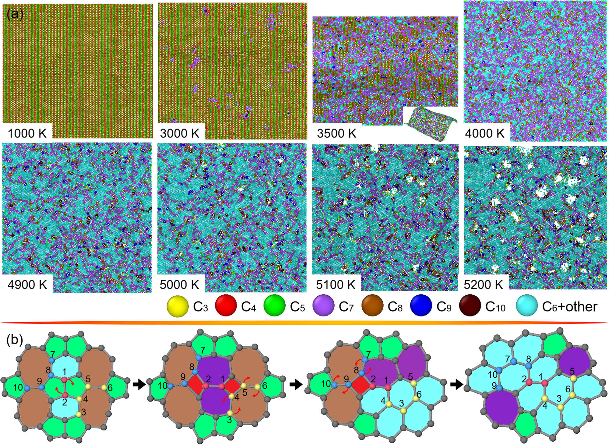 Figure 7
Structural changes in penta-hexoctite under heating. (a) Top-viewed snapshots of penta-hexoctite at T from around 1,000–5,200 K. For eye-catching the microstructural changes, carbon atoms in polygonal rings from trigon to decagon are color-painted. (b) Atomic illustration of nucleation of hexagons from pentagons, hexagons, and octagons in a zoomed-in region of penta-hexoctite. Specifically, carbon atoms are number-ranked and arrows are marked for explaining the origins of microstructural transitions.