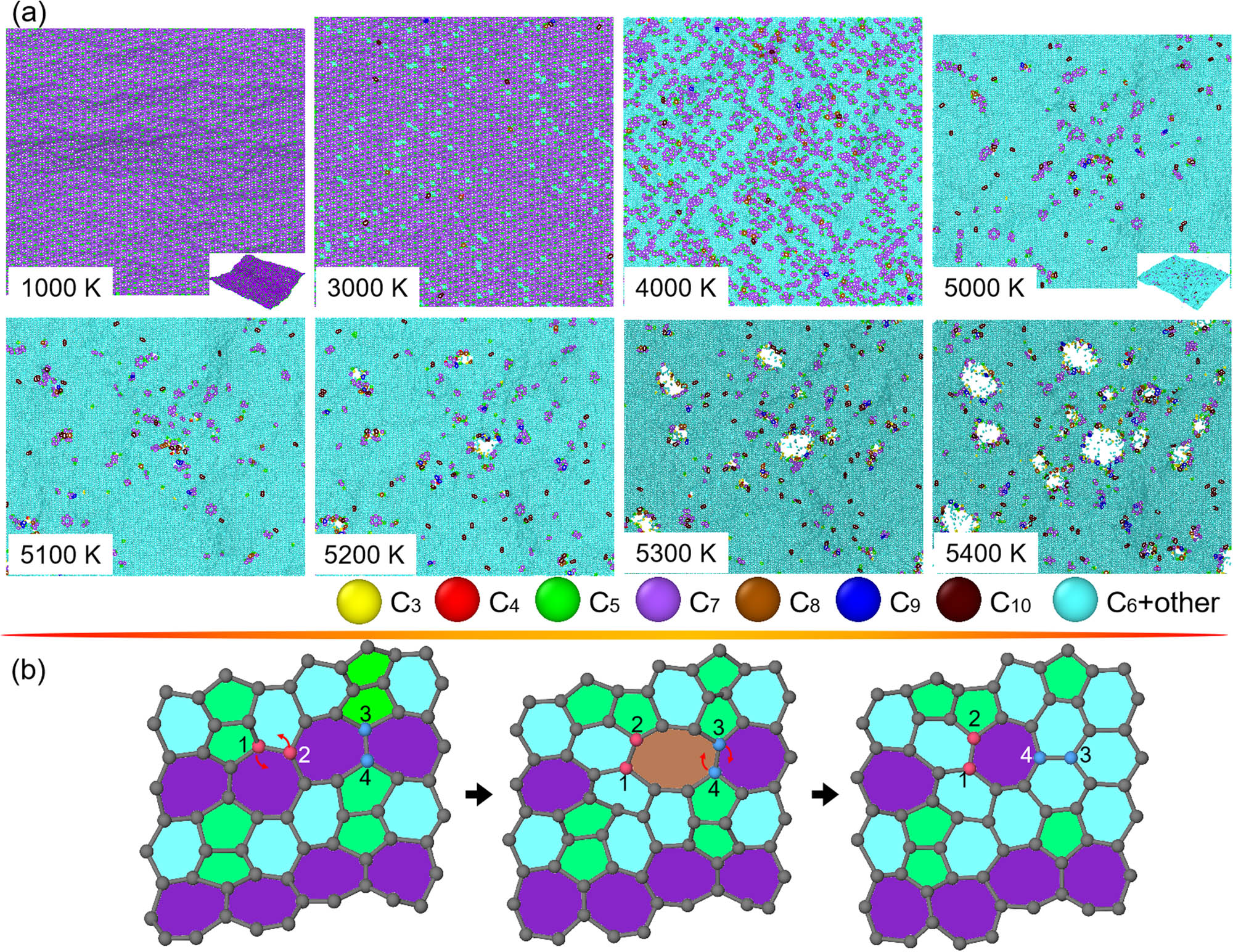 Figure 8
Structural changes in O-haeckelite upon heating. (a) Top views of O-haeckelite as the heating T increases from around 1,000 to 5,400 K. into melting phase. For eye-catching the thermally induced structural transformation in the O-haeckelite, carbon atoms in polygonal rings from trigon to decagon are differently rendered. (b) Atomic illustration of nucleation of hexagons from pentagons, hexagons, and heptagons in a local region of O-haeckelite. Particularly, some carbon atoms are number-ranked, and arrows are marked for revealing the origins of microstructural transitions.