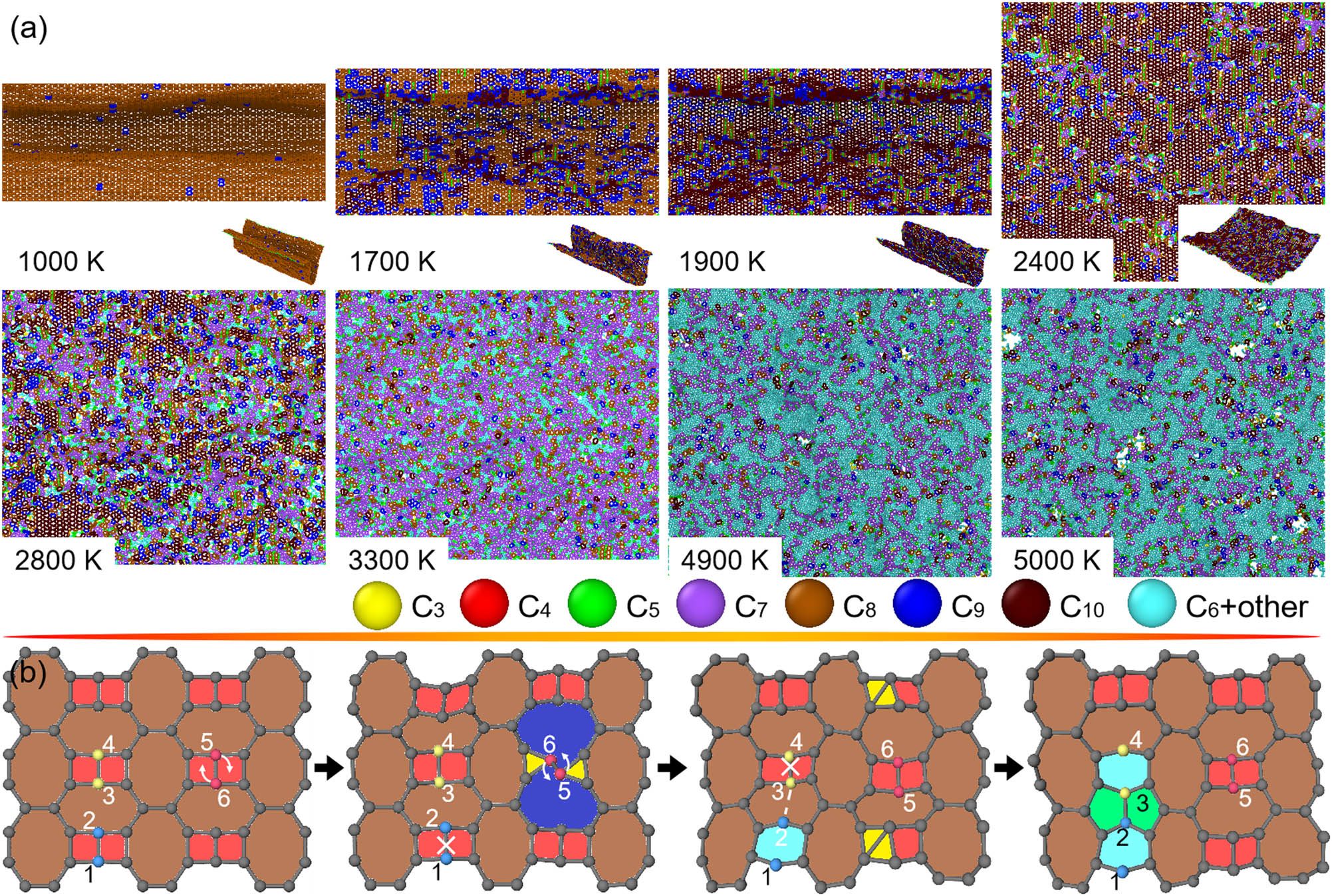 Figure 9
Structural changes in S-graphene subjected to heating. (a) Top views of O-haeckelite as the heating T increases from around 1,000 to 5,400 K into melting phase. For eye-catching the thermally induced structural transformation in the O-haeckelite, carbon atoms in polygonal rings from trigon to decagon are differently rendered. (b) Atomic illustration of nucleation of hexagons from pentagons, hexagons, and heptagons in a local region of O-haeckelite. Particularly, some carbon atoms are number-ranked and arrows are marked for revealing the origins of microstructural transitions.