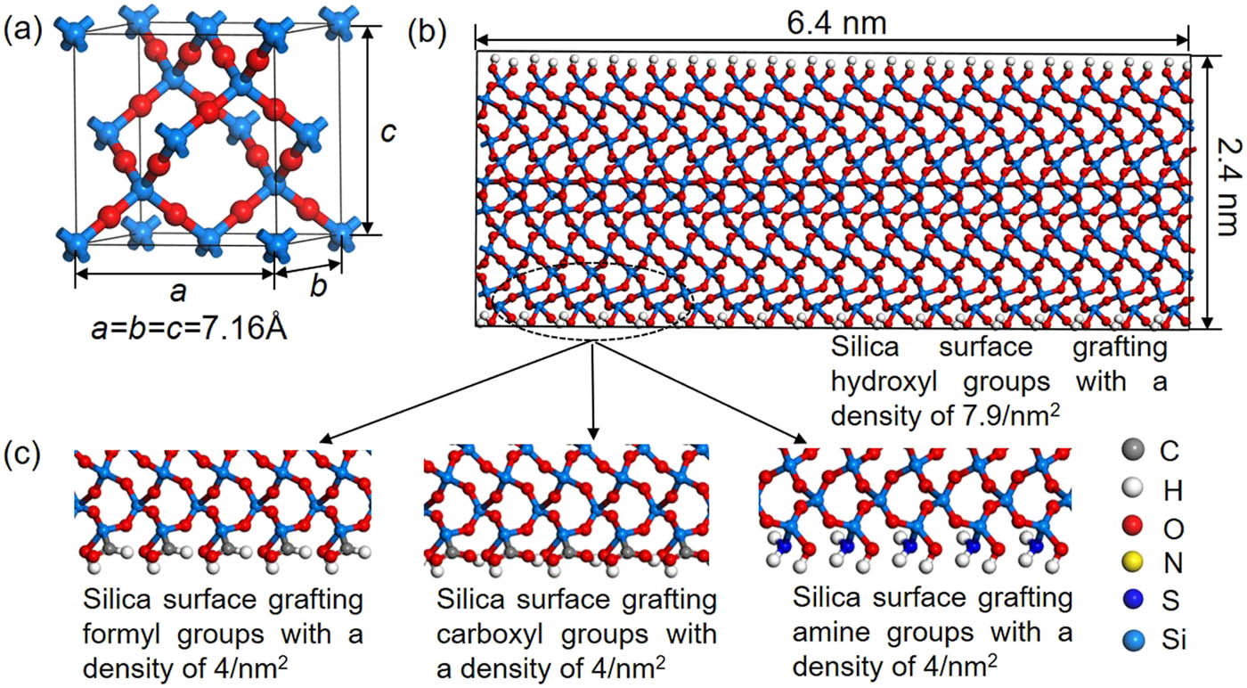 Figure 3 
                  (a) The lattice structure of β-cristobalite. (b) The initial model of silica where the surface is covered by hydroxyl groups. It is obtained by cleaving on (001) surface of β-cristobalite and then the dangling oxygen on (001) surface are statured by hydrogen atoms and dangling silicon atoms are statured by hydroxyl groups. The density of hydroxyl groups on the silica surface is about 7.9/nm2. (c) The initial models of silica where the surface is covered by formyl group (COH), carboxyl group (COOH), and amine group (NH2), respectively. Such structures are obtained by replacing partial hydroxyl groups in (b). The density of these functional groups is about 4/nm2.