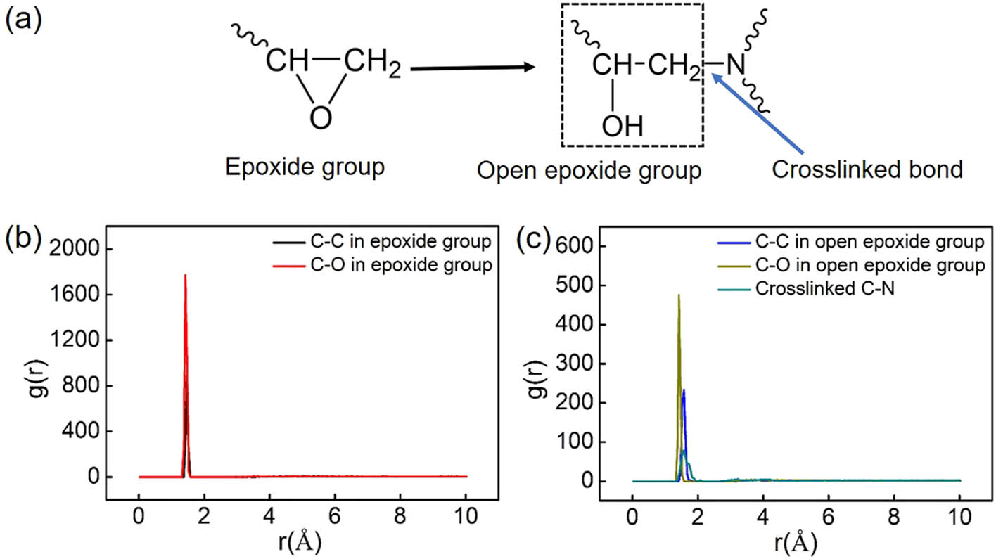 Figure 5 
                  (a) The schematic diagram of bond change during cross-link. (b) The partial RDF of bonds in the epoxide group. The lengths of C–C and C–O bonds are 1.48 and 1.43 Å, respectively, close to those measured by experiments. (c) The partial RDF bonds in open epoxide groups. The lengths of C–C and C–O bonds are 1.58 and 1.43 Å. The cross-linked C–N bond between DGEBA monomer and 44DDS monomer is about 1.53 Å.