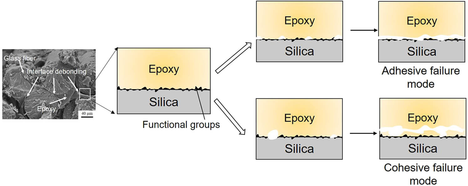 Figure 11 
                  The surface-modified GFR epoxy composites exhibit two types of interface debonding: adhesive failure mode and cohesive failure mode. The introduction of functional groups significantly affects the interface failure mode. The strong interfacial interactions between epoxy and silica prevent the debonding at the contact surface between epoxy and silica, leading to a cohesive failure mode.