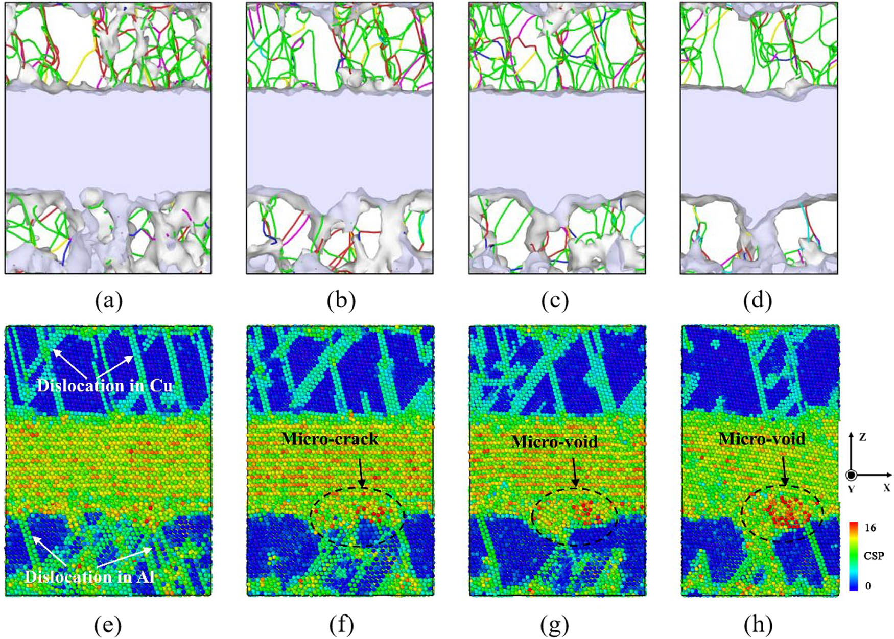 Figure 4
The Cu(111)/Al2Cu(
1
¯
\bar{1}
10)/Al(111) composite corresponding to the phase II mark in the tensile stress–strain curve: (a–d) DXA; (e–h) Centrosymmetric Parameter method (CSP). (a) ε = 0.123 (point F), (b) ε = 0.199 (point G), (c) ε = 0.029 (point H), (d) ε = 0.3 (point M), (e) ε = 0.123 (point F), (f) ε = 0.199 (point G) (g) ε = 0.229 (point H), (h) ε = 0.3 (point M).
