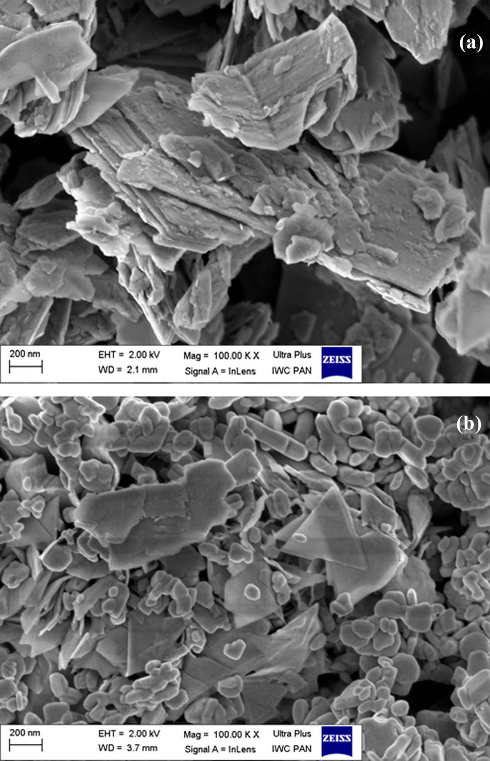 Figure 1 
                  SEM image of MoS2-NPs (a) and WS2-NPs (b). Magnification and scale are presented on the picture.
               