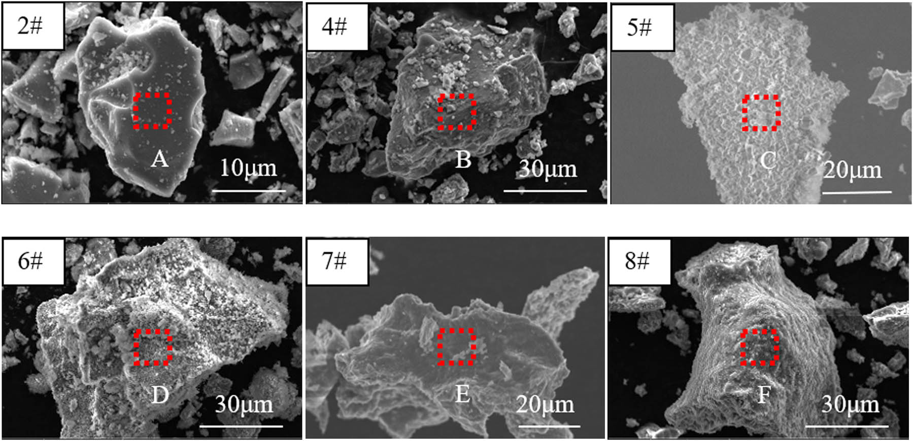 Figure 5 
                  Microstructure of products before pickling.
               