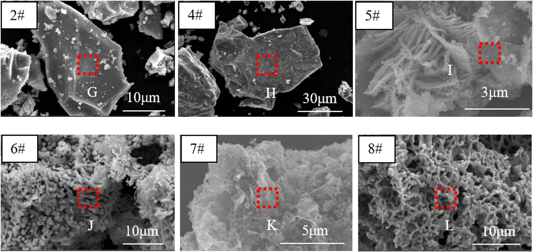 Figure 6 
                  Microstructure of products after pickling.
               