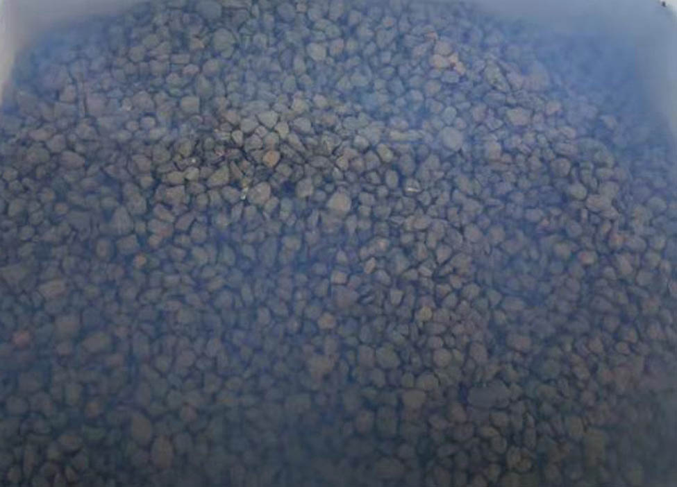 Figure 1
Soaking of RCA.