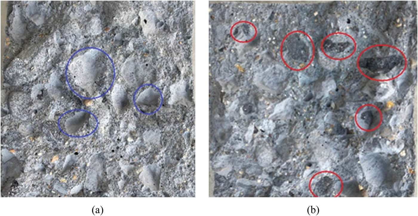 Figure 6
Cross sections: (a) NP and (b) CZ2-2.