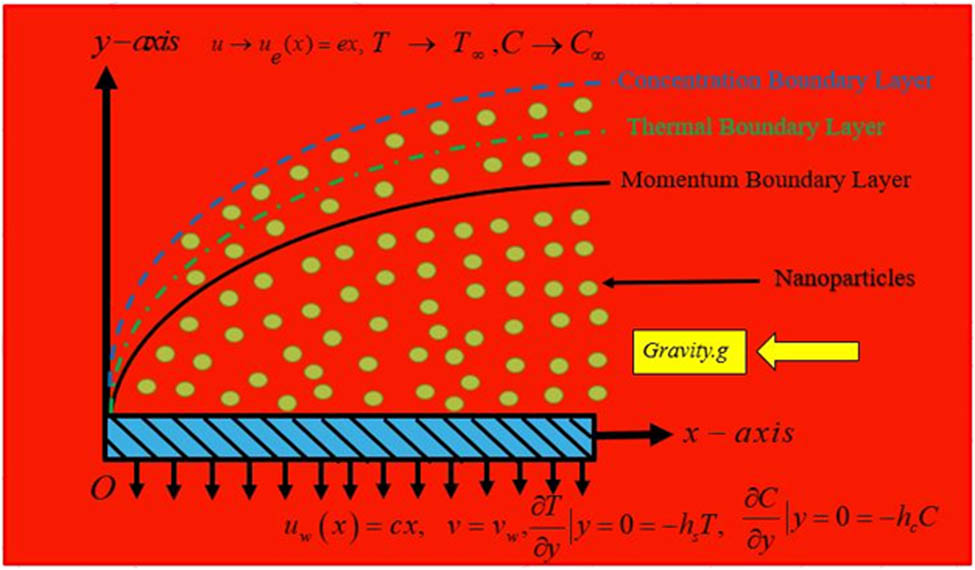 Figure 1 
               Physical model illustrating the reactive radiative–convective Maxwell nanofluid stretched flow.
            