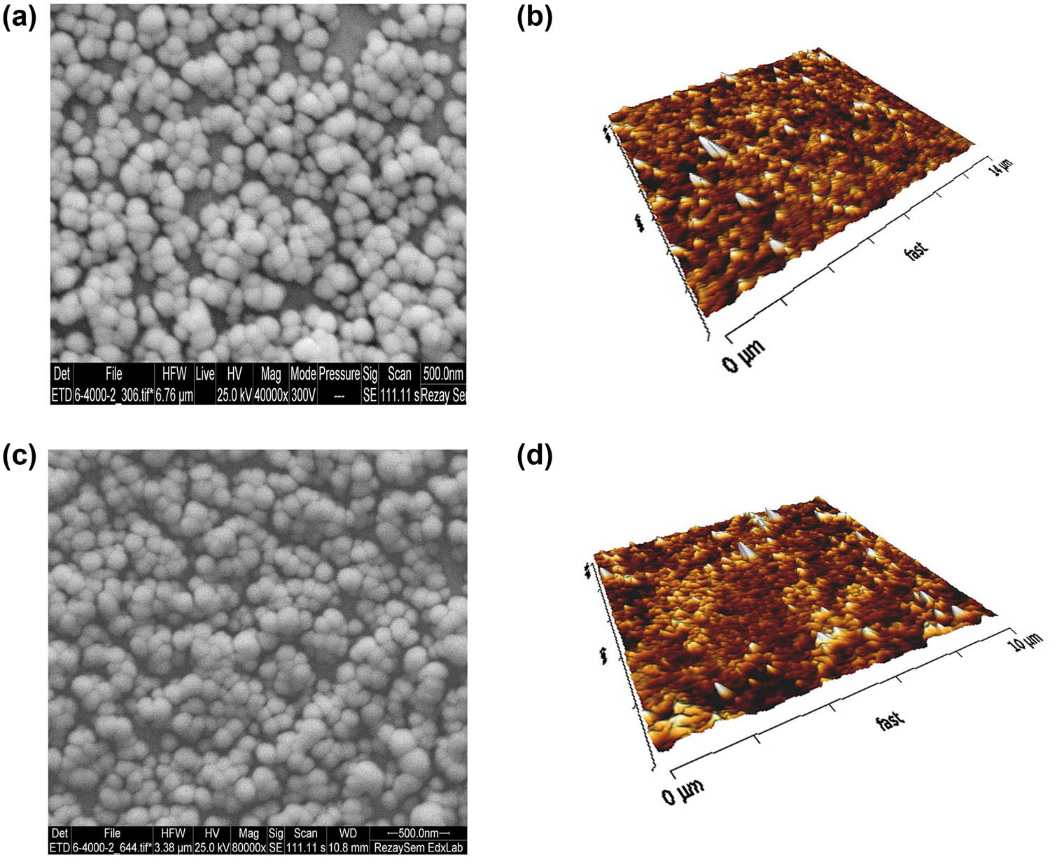 Figure 3 
                  The microscopy imaging obtained by SEM and AFM; (a) SEM imaging of Nio-GGE. (b) AFM imaging of Nio-GGE. (c) SEM imaging of Nio-HHE. (d) AFM imaging of Nio-HHE.
               