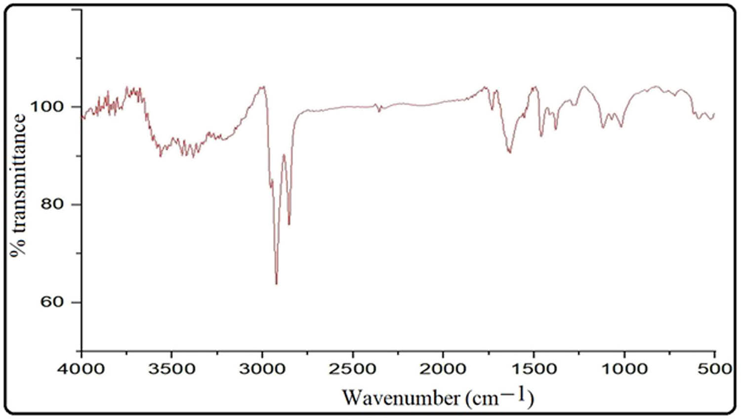 Figure 2 
                  FTIR of biogenic CuO NPs.
               