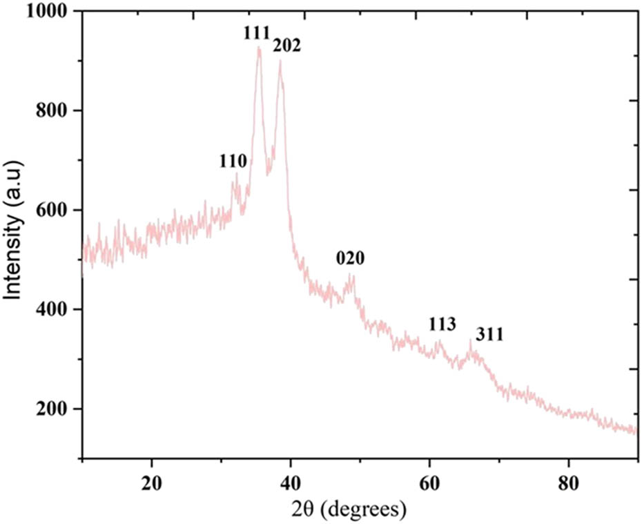 Figure 3 
                  XRD pattern of biogenic CuO NPs.
               