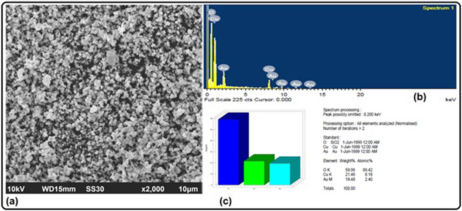 Figure 4 
                  (a) SEM image and (b) EDX profile of the biogenic CuO NPs. (c) a bar chart depicting the weight % of CuO NPs.
               