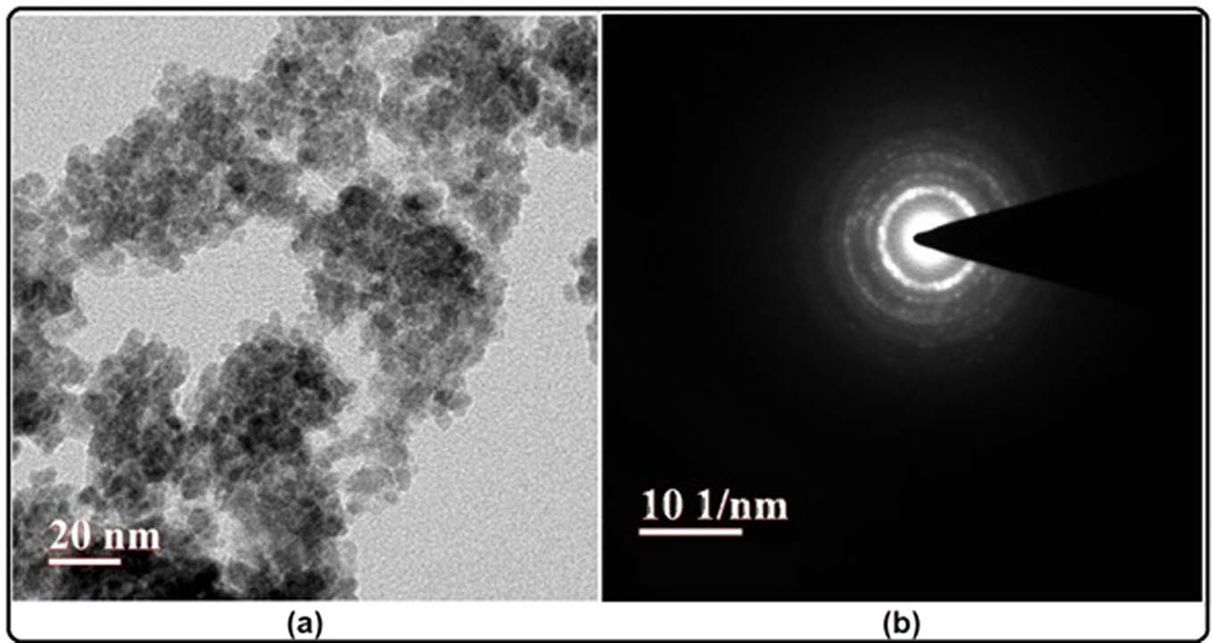Figure 5 
                  (a) TEM image and (b) SAED pattern of the biogenic CuO NPs.
               