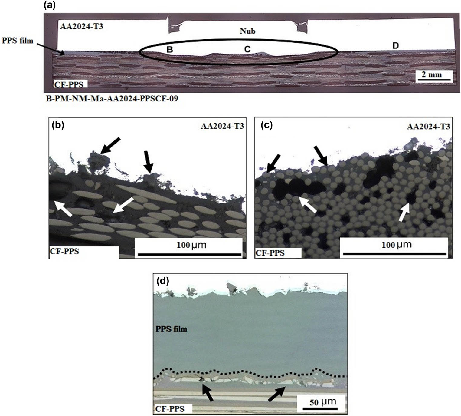 Figure 6 
               Microstructural details of joint: (a) cross-section with interlayer, (b) molten polymer of Al surface, (c) deformed aluminum, and (d) interface of Al/interlayer [141].
            