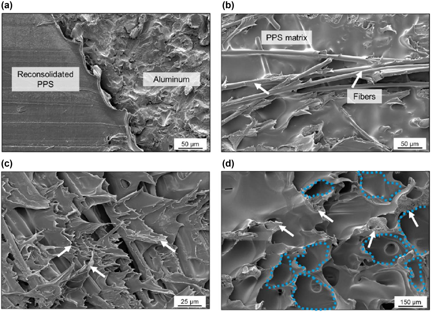 Figure 8 
               SEM image: (a) transition between AZ and TZ, (b) PDZ of Al surface, (c) PDZ, and (d) TZ on the composite surface [143].
            