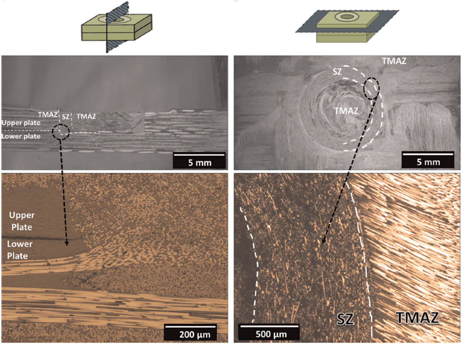 Figure 10 
               CF-PA66 weld microstructure produced by FSSW [149].
            