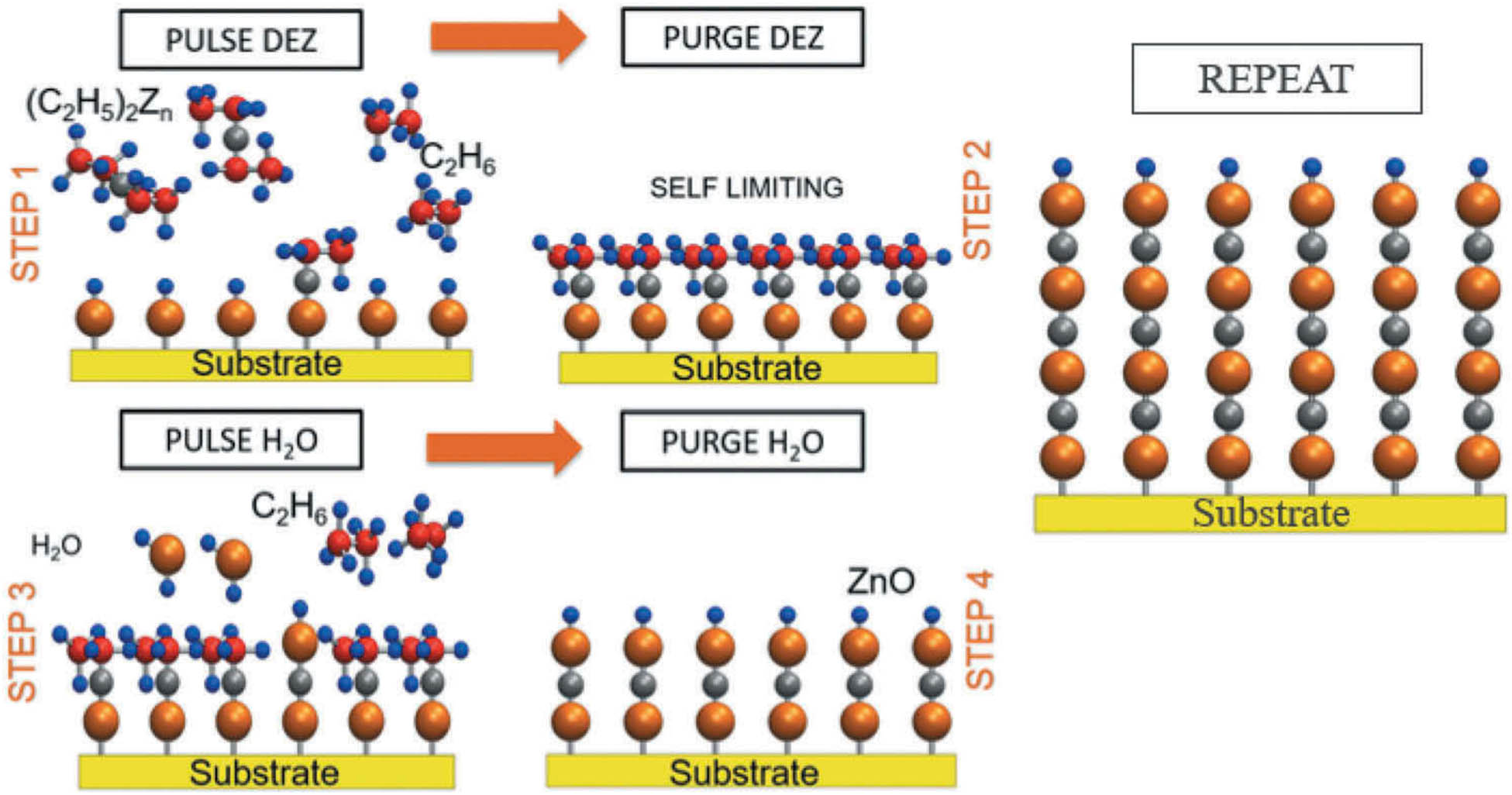 Figure 1 
               Demonstration of zinc oxide ALD using (C2H5)2Zn and H2O precursors [2].
            