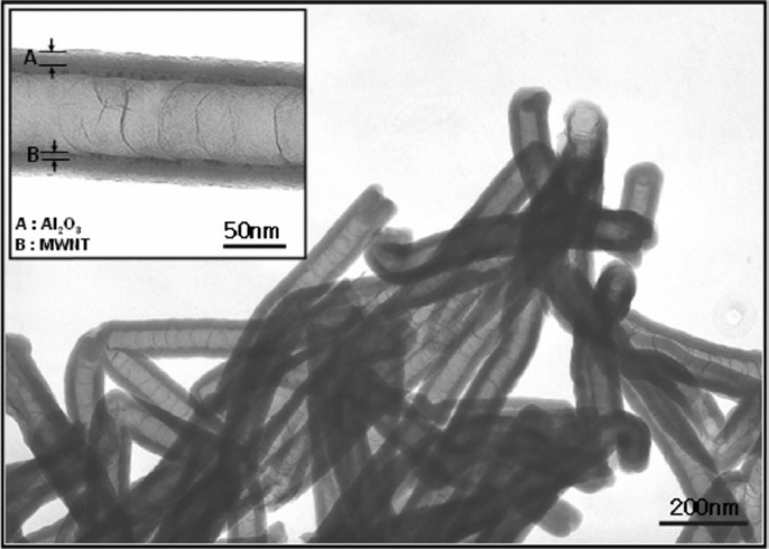 Figure 2 
                     Transmission electron microscopic image of Al2O3-coated MWCNTs. The insert shows a cylindrical Al2O3 layer (A) coating a particular multi-walled CNTs and the multi walls (B) of this multi-walled nanotube.
                  