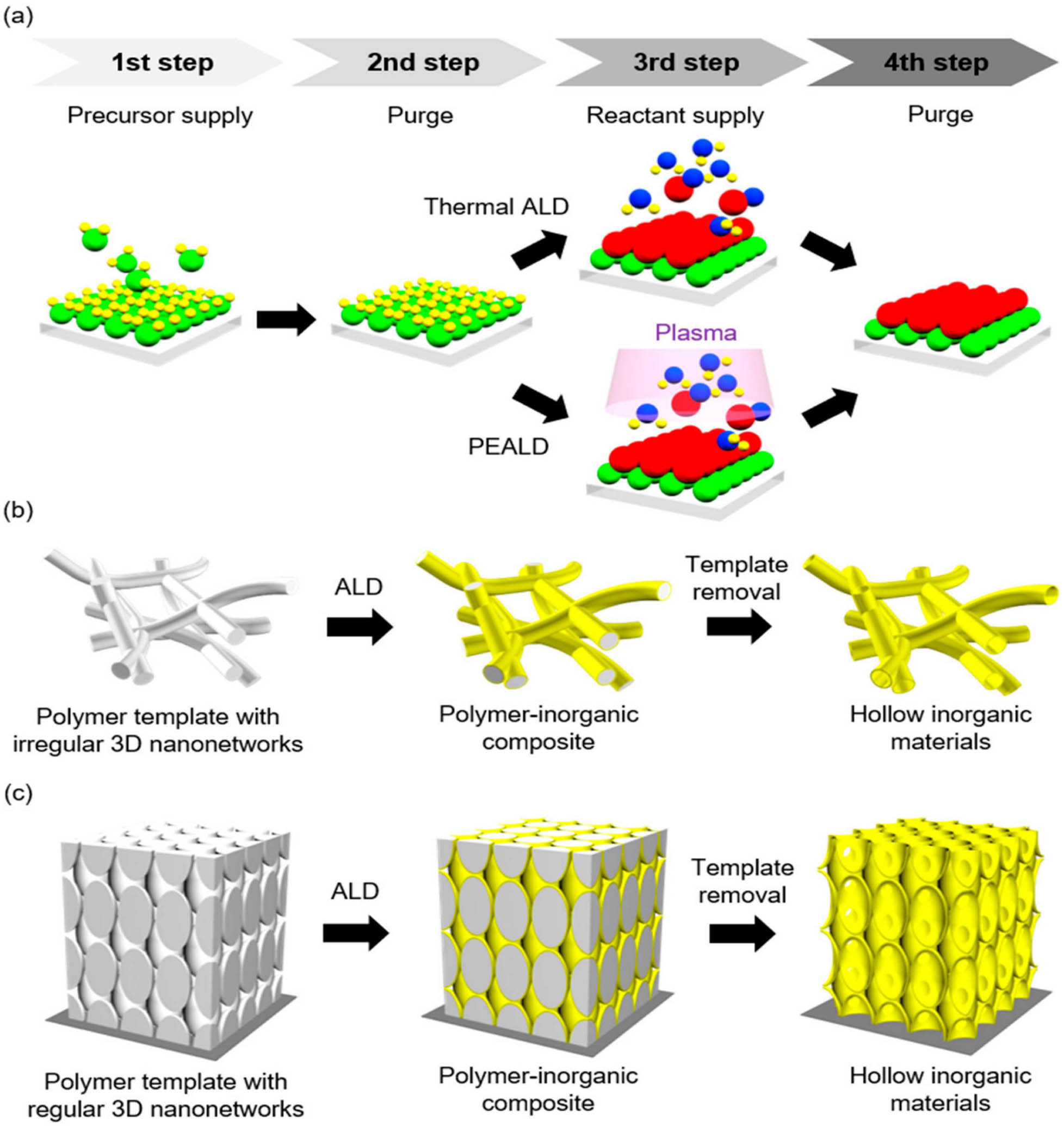 Figure 3 
                     Illustration of (a) a cycle of thermal/plasma-enhanced atomic layer deposition, (b) the manufacturing process of hollow inorganic materials or polymer–inorganic composite from a polymer substrate with asymmetrical 3D nanonetworks, and (c) the manufacturing process of hollow inorganic materials or polymer–inorganic composite from a polymer substrate with regular 3D nanonetworks [66].
                  