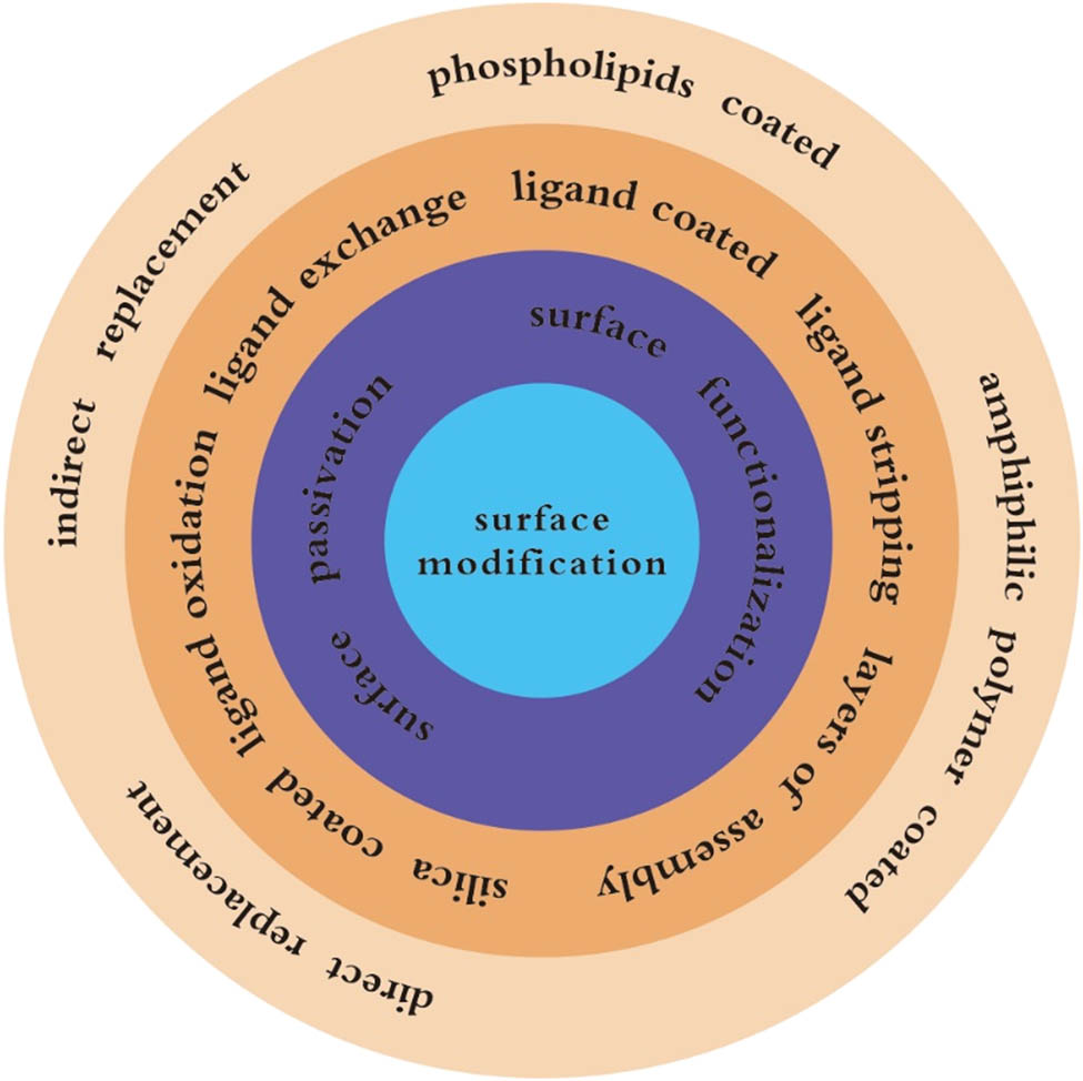 Figure 2
The surface modification methods of UCNPs.