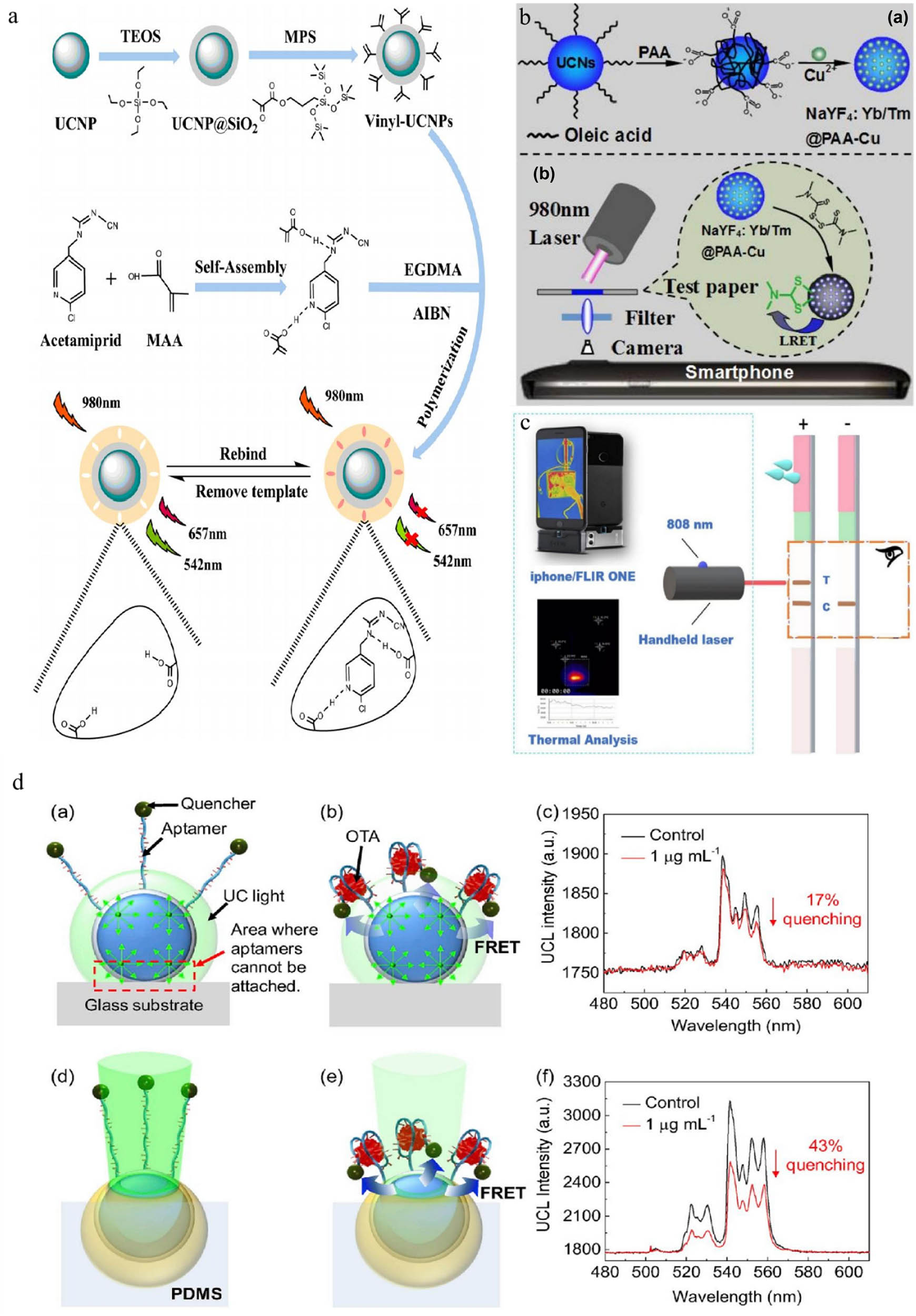 Figure 4 
                     Schematic diagram of upconversion nanotechnology for detection of agricultural and veterinary drug residues, mycotoxins, and antibiotics: (a) UCNPs@MIP, the preparation and imprinting process of the product are illustrated [123]; (b) schematic diagram of detection principle of upconversion test paper for thiram [124]; (c) schematic diagram of norfloxacin detection principle [129]; (d) based on FRET-induced quenching, the schematic diagram of OTA detection using aptamer (labeled with quenchant) functionalized bare UCNPs on glass substrate [119].
                  