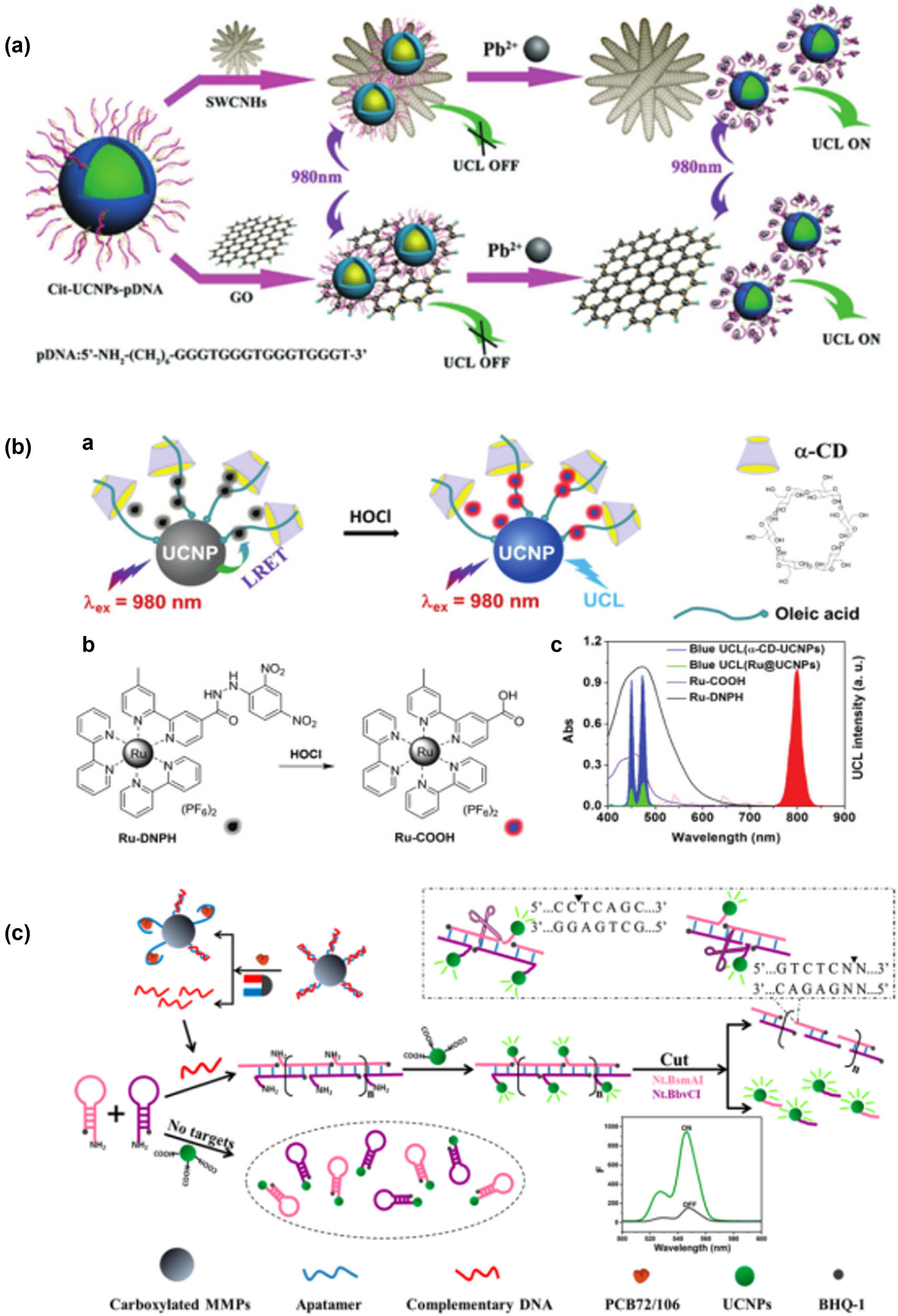 Figure 6 
                  Schematic diagram of upconversion nanotechnology applied in detection of heavy metals and other pollutants; (a) schematic diagram of Pb2+ detection [140]; (b) schematic diagram of LRET system and HClO detection [144]; (c) dual amplification strategy of upconversion fluorescence aptamer based on HCR and endonuclease for detection of PCB 72/106 [145].
               