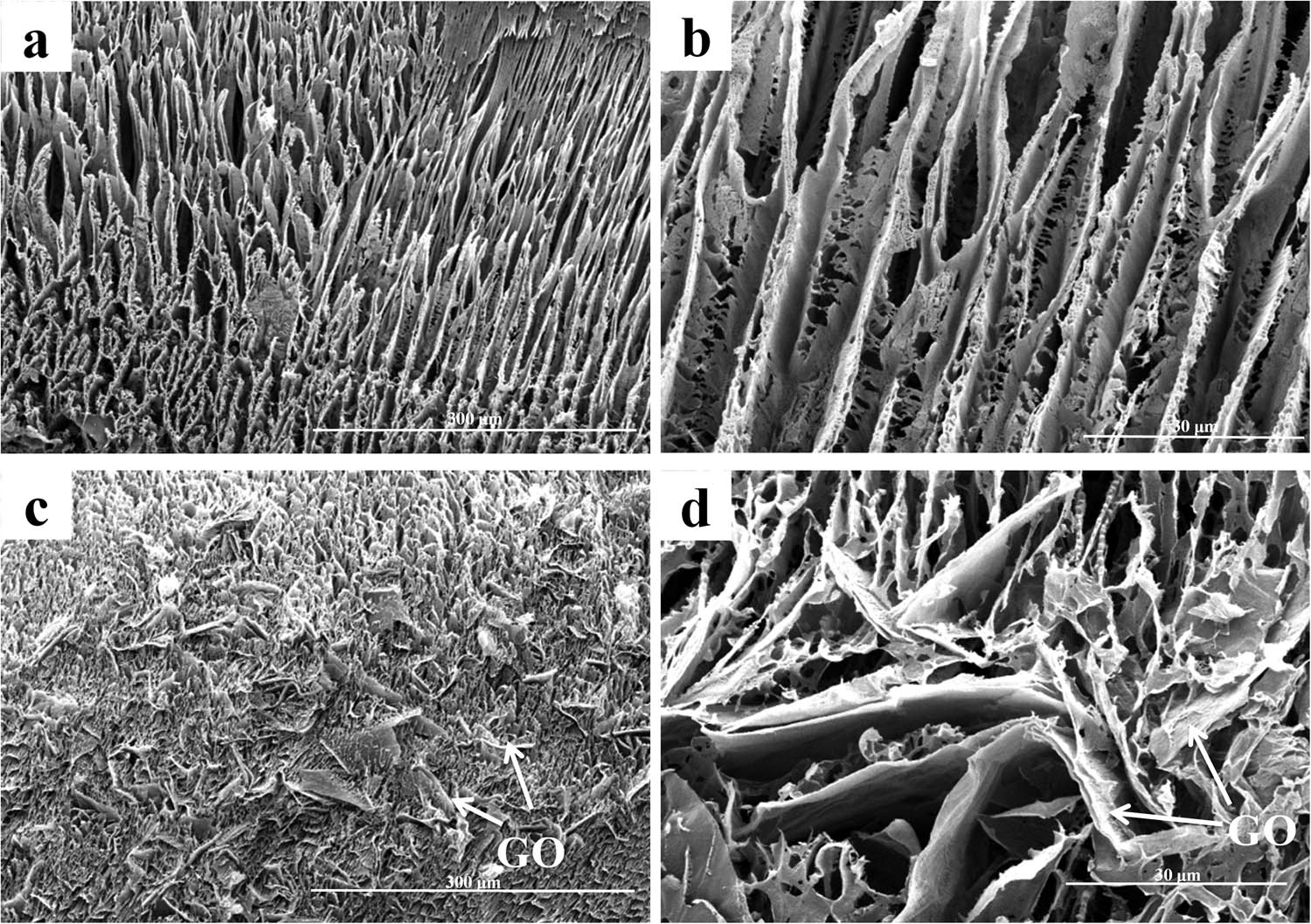 Figure 3
SEM photographs (a and b) PVA aerogels; (c and d) GO/PVA aerogels.