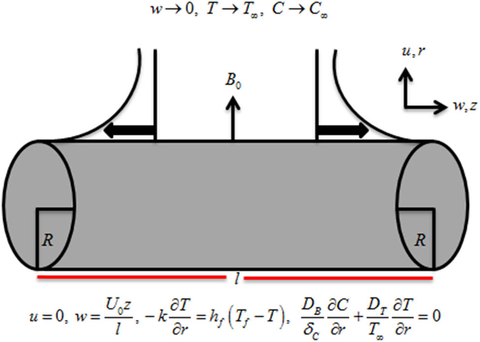 Figure 1 
               Geometry of the flow problem.
            
