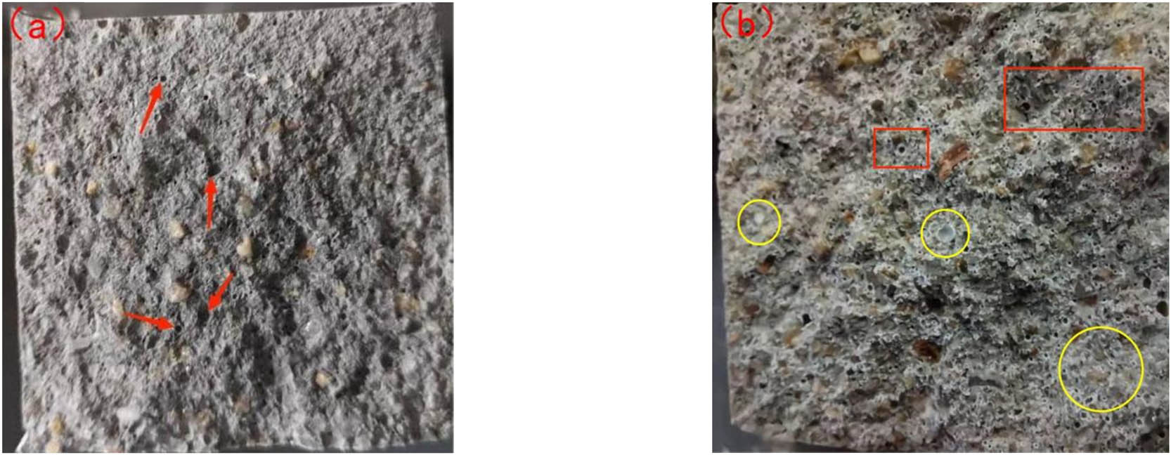 Figure 4 
                  Classic section morphology of GOPARMs: (a) P0G0 group (red arrows–pores); (b) P5G3 group (yellow circles: polymer films and; red rectangles: air bubbles).
               