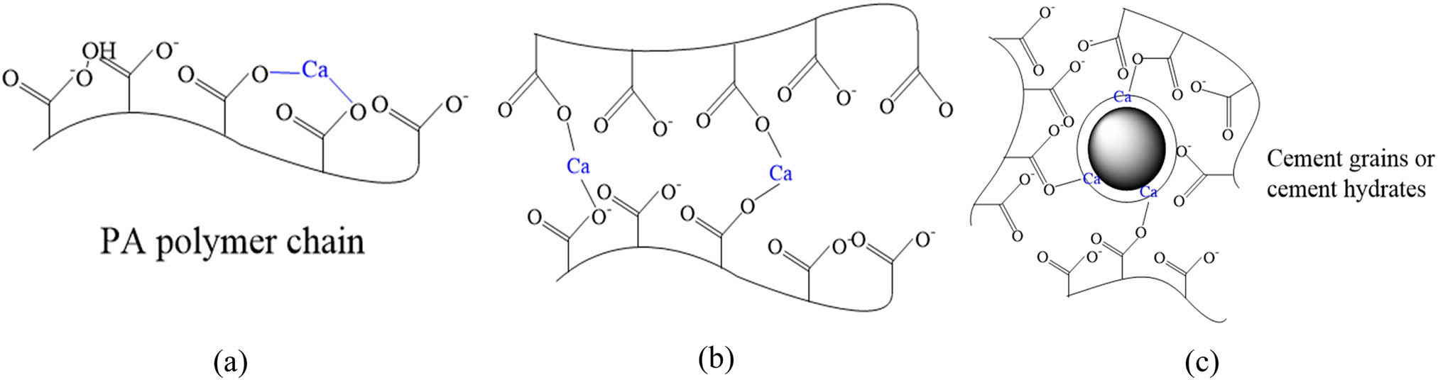 Figure 10 
                     Reactions between Ca2+ and polyacrylate (PA) polymer chain: (a) self-link of polymer chain; (b) cross-link of PA polymer chains; (c) cross-link between PA polymer chain and cement hydrates.
                  