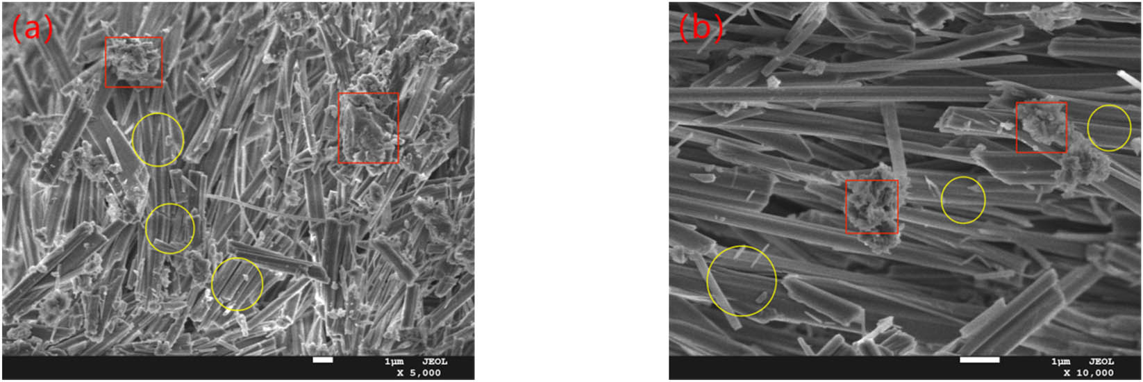 Figure 11 
                     Morphology of hydration products of GOPARMs doped with 0.03 wt% GO (very dense and orderly distribution of hydration products): (a) ×5k; (b) ×10k (yellow circles: AFt and red rectangles: other amorphous hydration products).
                  