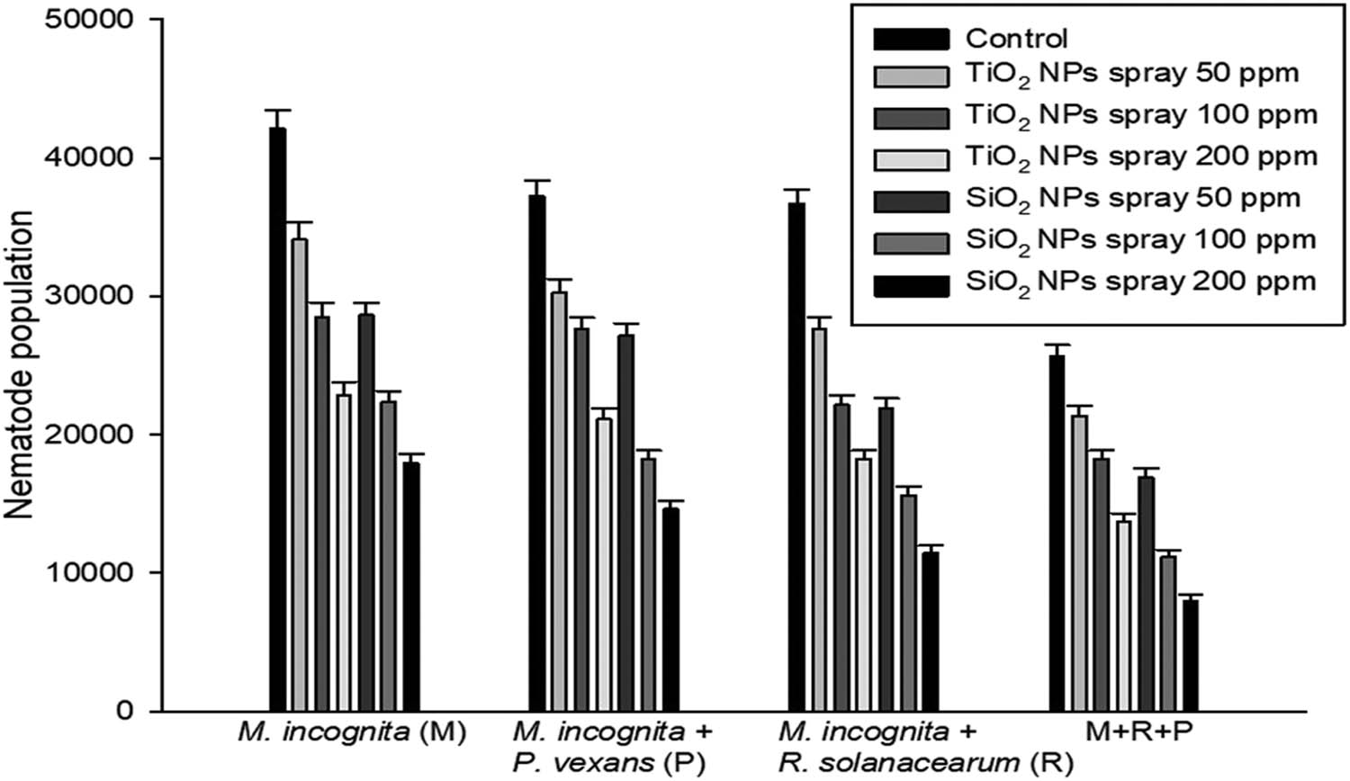 Figure 5
Influence of SiO2-NPs and TiO2-NPs on the multiplication of M. incognita (M) inoculated alone (M) and in combination with P. vexans (P) and R. solanacearum (R). Error bars reflect the standard deviation.