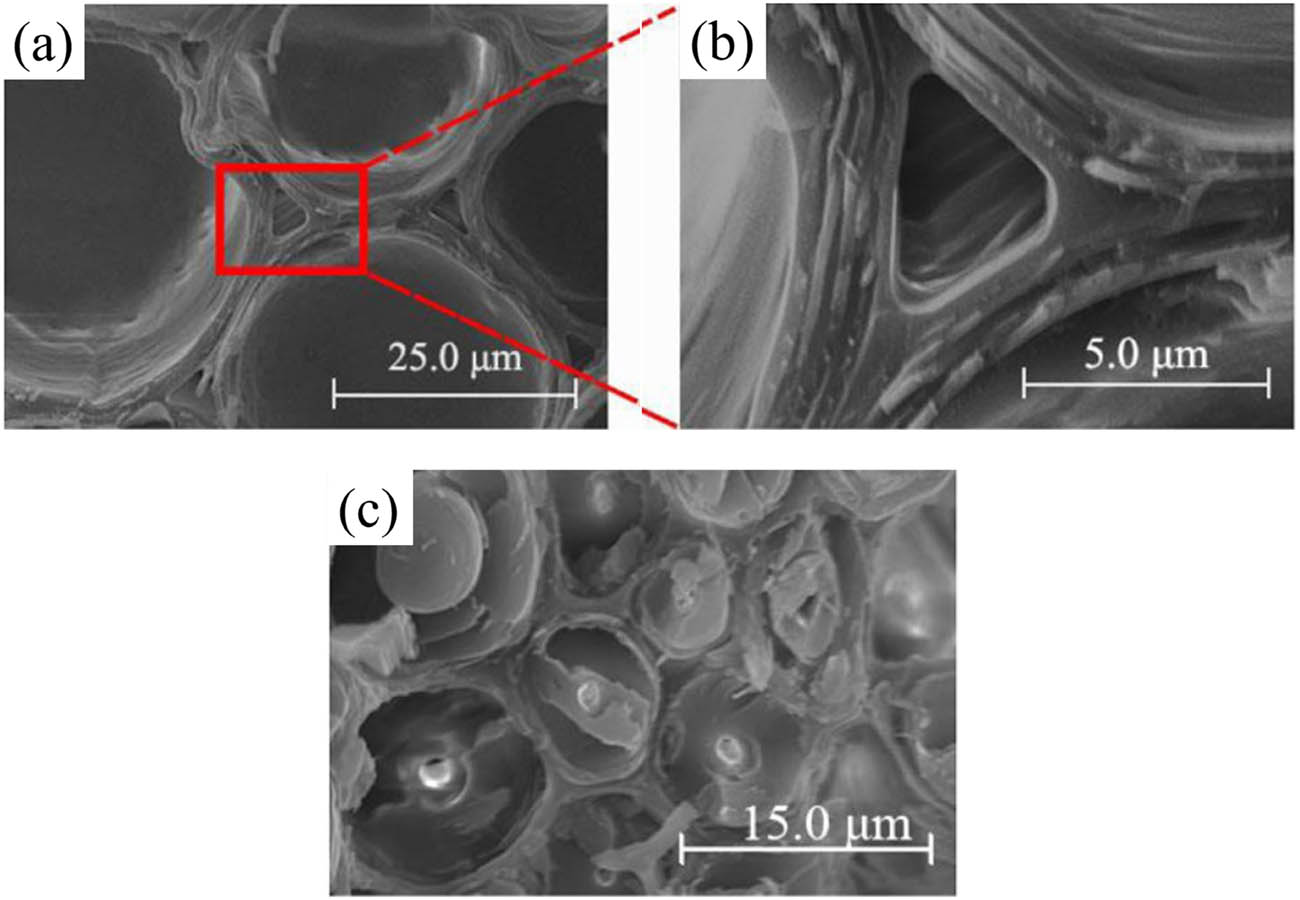 Figure 2 
                  SEM images of bamboo cell wall structures: (a and b) untreated parenchyma cells [4] and (c) untreated sclerenchyma cells [4].
               