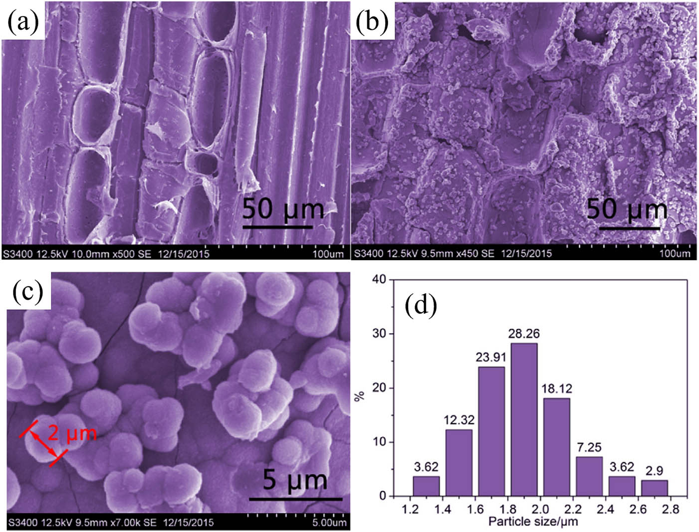Figure 7 
                  (a) SEM images of original bamboo [154] and bamboo timber coated by TiO2 (RT, 7 days): (b) at low magnification [154] and (c) high magnification [154]. (d) The size distribution of TiO2 (RT, 7 days) [154].
               