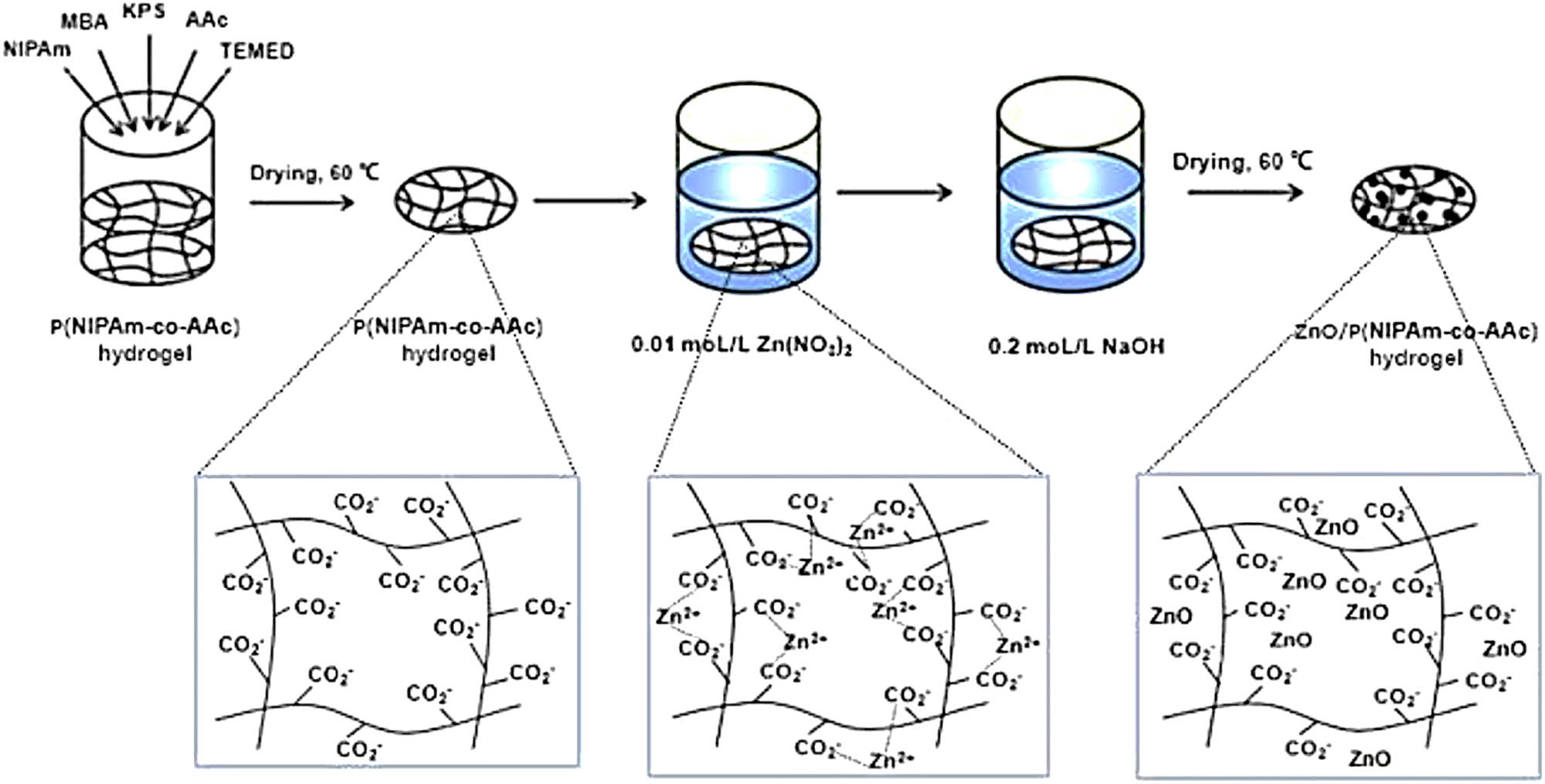 Figure 9 
                  Preparation of the ZnO/poly(N-isopropylacrylamide-co-acrylic acid) hydrogel [177].
               