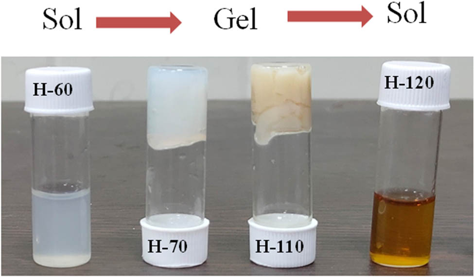 Figure 1 
                  Different phases of developed BSA hydrogel at different temperatures.
               