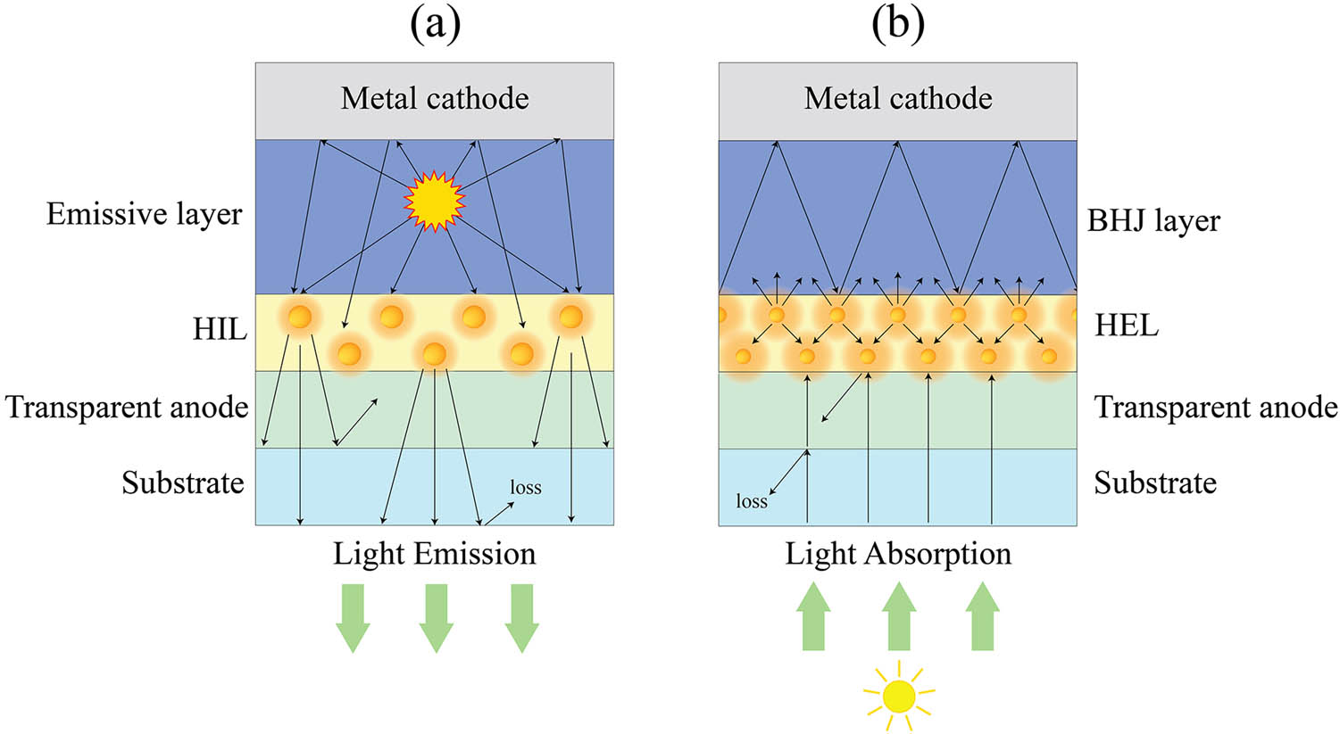 Figure 8 
               Schematic diagram of OLEDs and OPVs with plasmonic NPs, (a) NPs in HIL for OLEDs with scattering effect and (b) NPs in HEL for OPVs with LSPR effect.
            