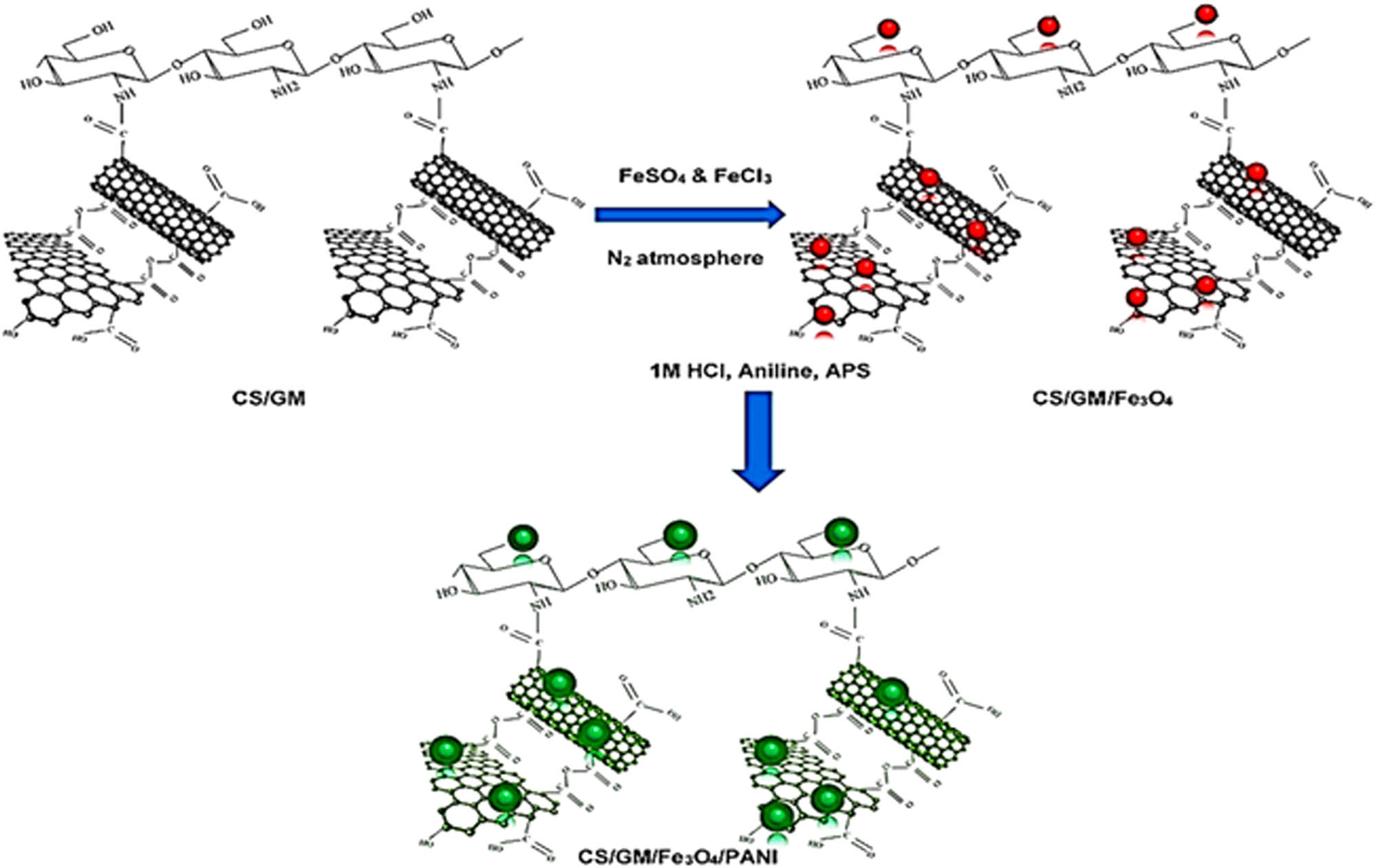 Figure 11 
                     Simplified schematics of the synthesis of CS/GM/Fe3O4/PANi nanocomposite material. Reproduced from ref. [147], Copyright 2021, John Wiley & Son.
                  