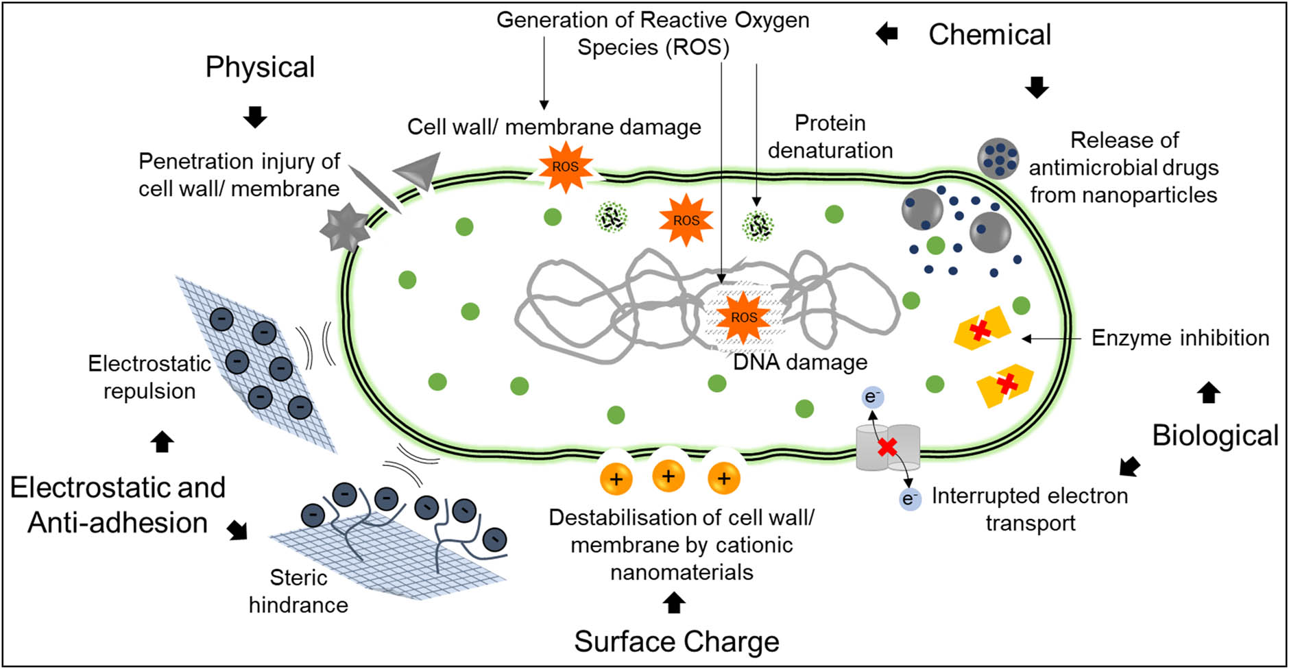 Figure 5 
                  Schematic representation of the antimicrobial and antifouling mechanisms of nanobiomaterials in terms of physical, chemical, biological, surface charge properties, and electrostatic and anti-adhesion properties [65]. Reproduced with permission from ref. [65], 2021 © Creative Commons CC BY 4.0.
               