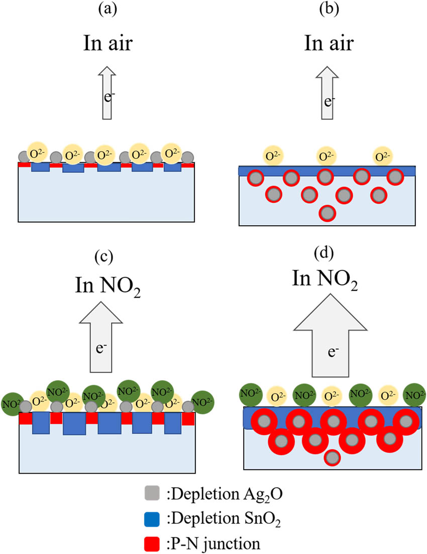 Figure 11 
               Possible gas sensing mechanisms of SA200 and CSA270 sensors: (a) SA200 in air, (b) CSA270 in air, (c) SA200 in NO2 gas, and (d) CSA270 in NO2 gas.
            