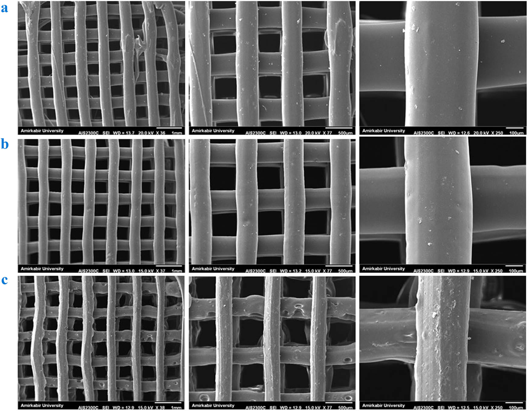 Figure 1 
                  SEM images of (a) PLA, (b) PLA/HNT, and (c) PLA/HNT-SrR scaffolds at various magnifications.
               