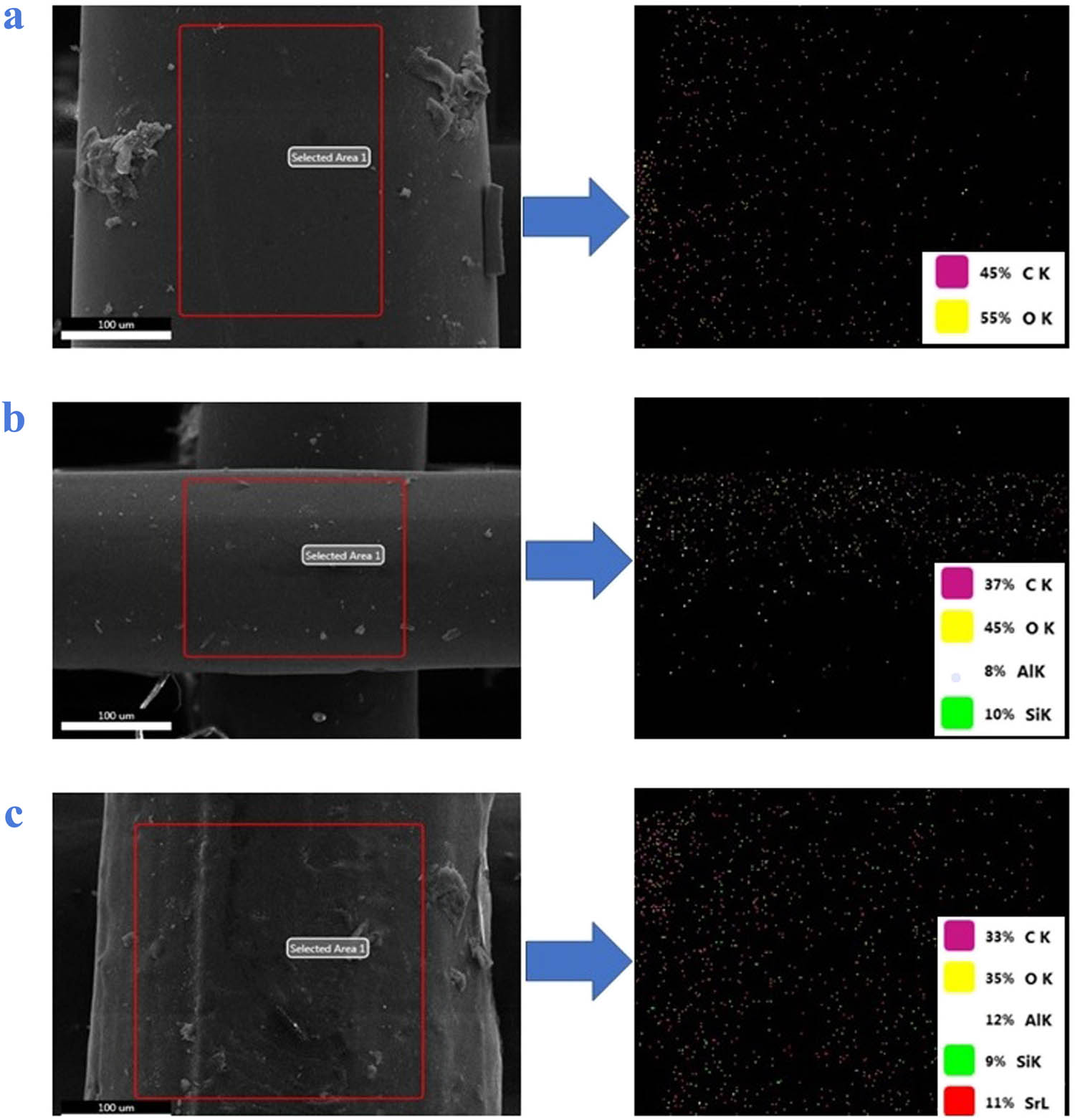 Figure 2 
                  EDS analyses of the (a) PLA, (b) PLA/HNT, and (c) PLA/HNT-SrR scaffolds.
               